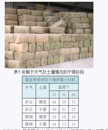 青貯歷史回顧及青綠飼料貯藏方法